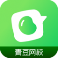 青豆网校app app icon图