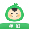 胖柚app icon图