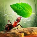 小蚂蚁部落app icon图