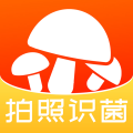 菌窝子app icon图