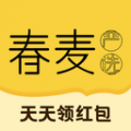 春麦app app icon图