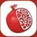 石榴铺app app icon图