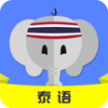 天天泰语app icon图