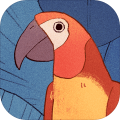 孤独的鸟儿app icon图
