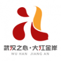 大江金岸app电脑版icon图