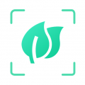植物识别app app icon图