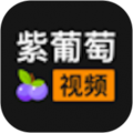 紫葡萄视频app icon图