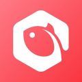 丰食团餐app icon图
