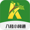 八桂小林通app icon图