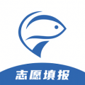 大鱼升学电脑版icon图