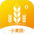 小麦团app app icon图