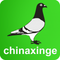 中国信鸽信息网app icon图