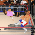 摔角革命电脑版Wrestling Revolution电脑版icon图