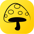 蘑菇丁app app icon图