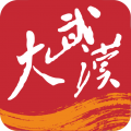 大武汉app icon图