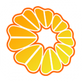 橙意健康管理客户端app icon图