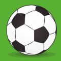 足球经理汉化版app icon图