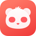 熊猫签证电脑版icon图