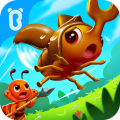 宝宝认蚂蚁昆虫世界app icon图