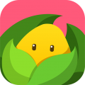 美柚孕期app icon图