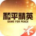 掌上和平精英app icon图