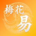 梅花易数专业版app icon图