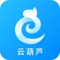 云葫芦商标查询app app icon图