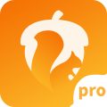 坚果隐藏pro版app icon图