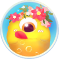 圣光球球美化app icon图