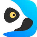 狐猴浏览器app icon图