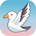 海鸥直播app icon图