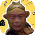 电报猴子盒安卓版
