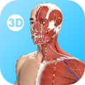 针灸大师app app icon图
