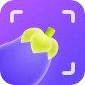 茄子水印相机app icon图