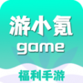 游小氪游戏app icon图