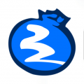 蓝莓视频播放器电脑版icon图