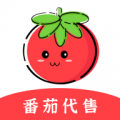番茄代售app icon图