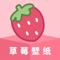 草莓壁纸app电脑版icon图