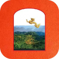 圣道威尔app app icon图