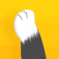 猫爪app社交app icon图