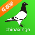 中国信鸽信息网商家管理平台app icon图