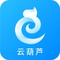 云葫蘆商標(biāo)查詢注冊(cè)app icon圖