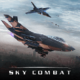 sky combat空战
